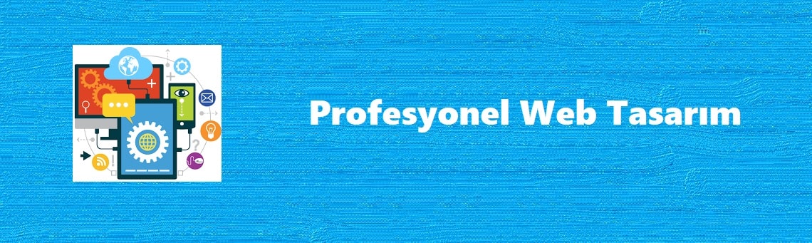 Profesyonel Web Tasarımı